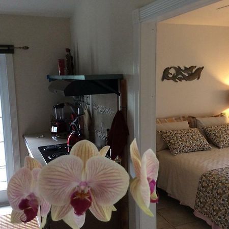 Mediteranean Style Ohana Rental / Garden Bungalow In Pahoa Honolulu Landing 외부 사진