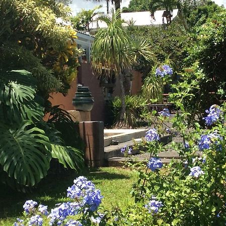 Mediteranean Style Ohana Rental / Garden Bungalow In Pahoa Honolulu Landing 외부 사진