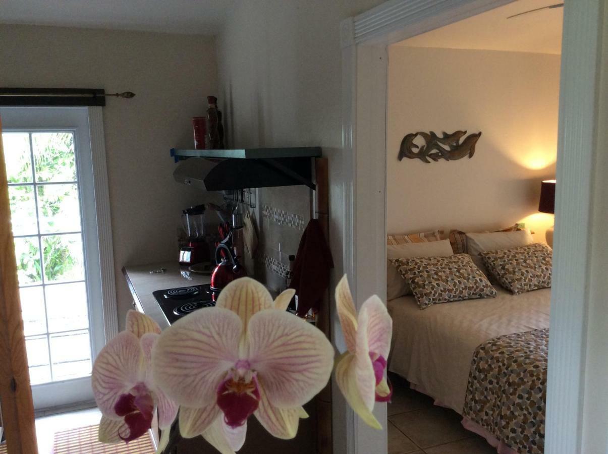 Mediteranean Style Ohana Rental / Garden Bungalow In Pahoa Honolulu Landing 외부 사진