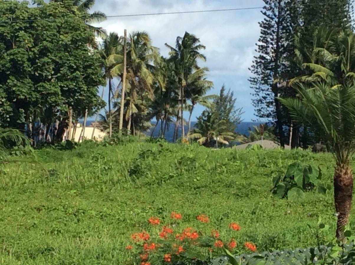 Mediteranean Style Ohana Rental / Garden Bungalow In Pahoa Honolulu Landing 외부 사진