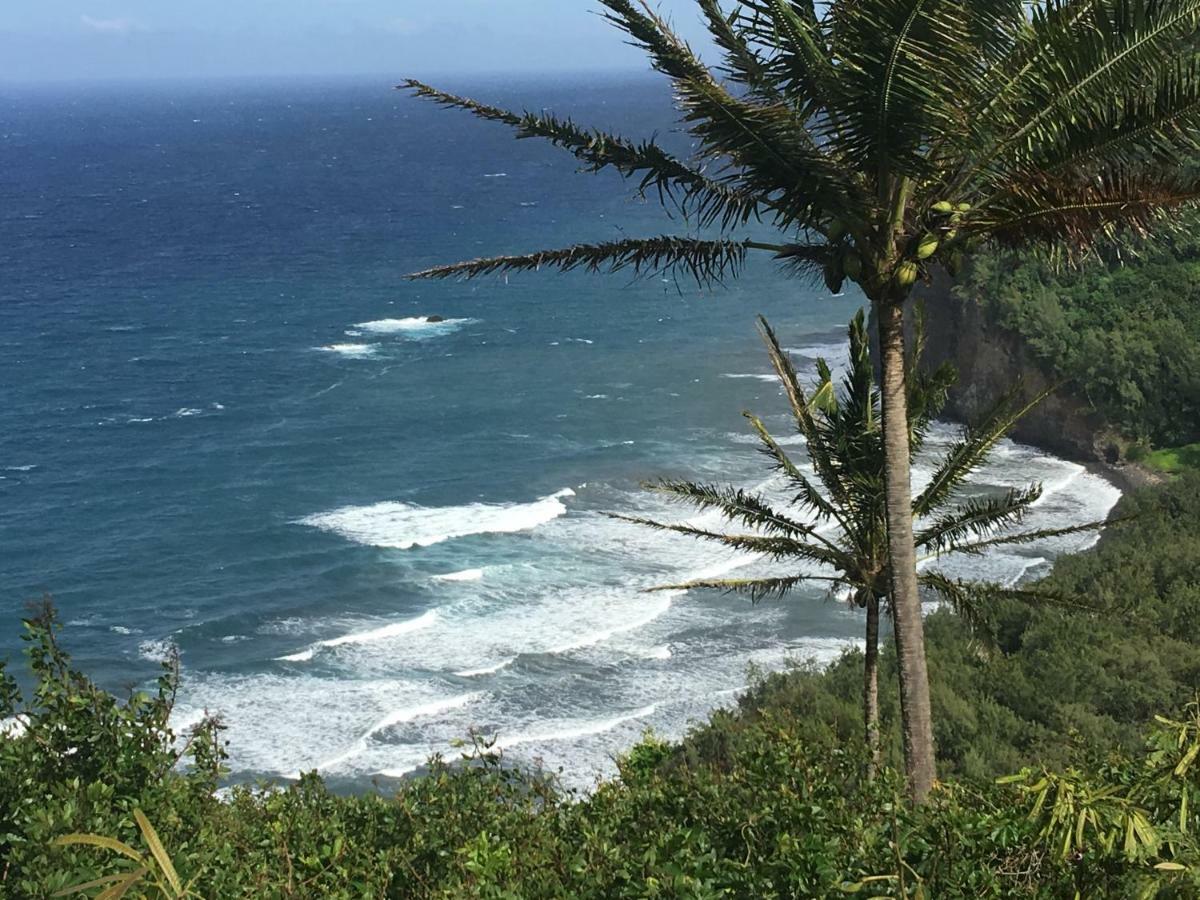 Mediteranean Style Ohana Rental / Garden Bungalow In Pahoa Honolulu Landing 외부 사진
