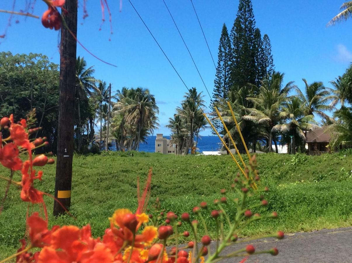 Mediteranean Style Ohana Rental / Garden Bungalow In Pahoa Honolulu Landing 외부 사진